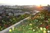 Yerevan_Pictures_042.jpg