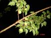 DSC03984.JPG