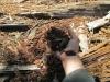 planting_2290.JPG
