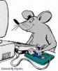picmouse.gif