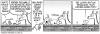 pearls20024435070110.gif